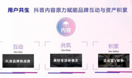 国际抖音阴短视频网站,揭秘国际抖音的魅力与影响力